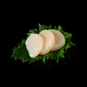 Sashimi Scallop