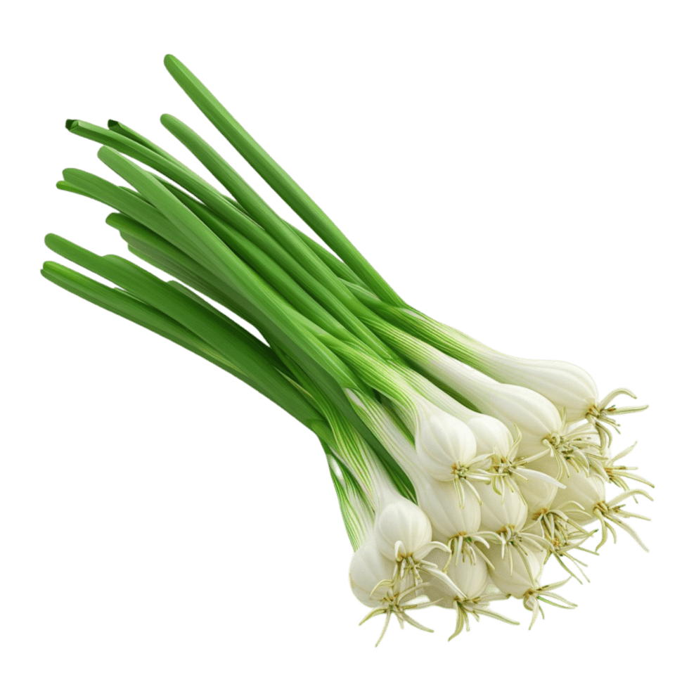 Green onion
